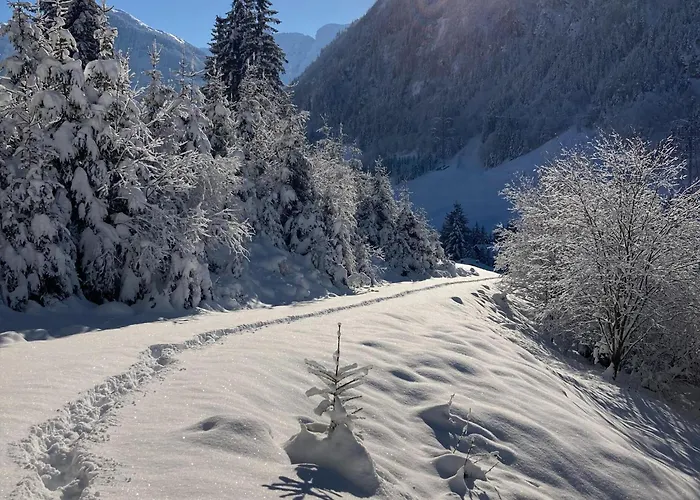 In Near Lift